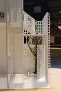 IMG_6235